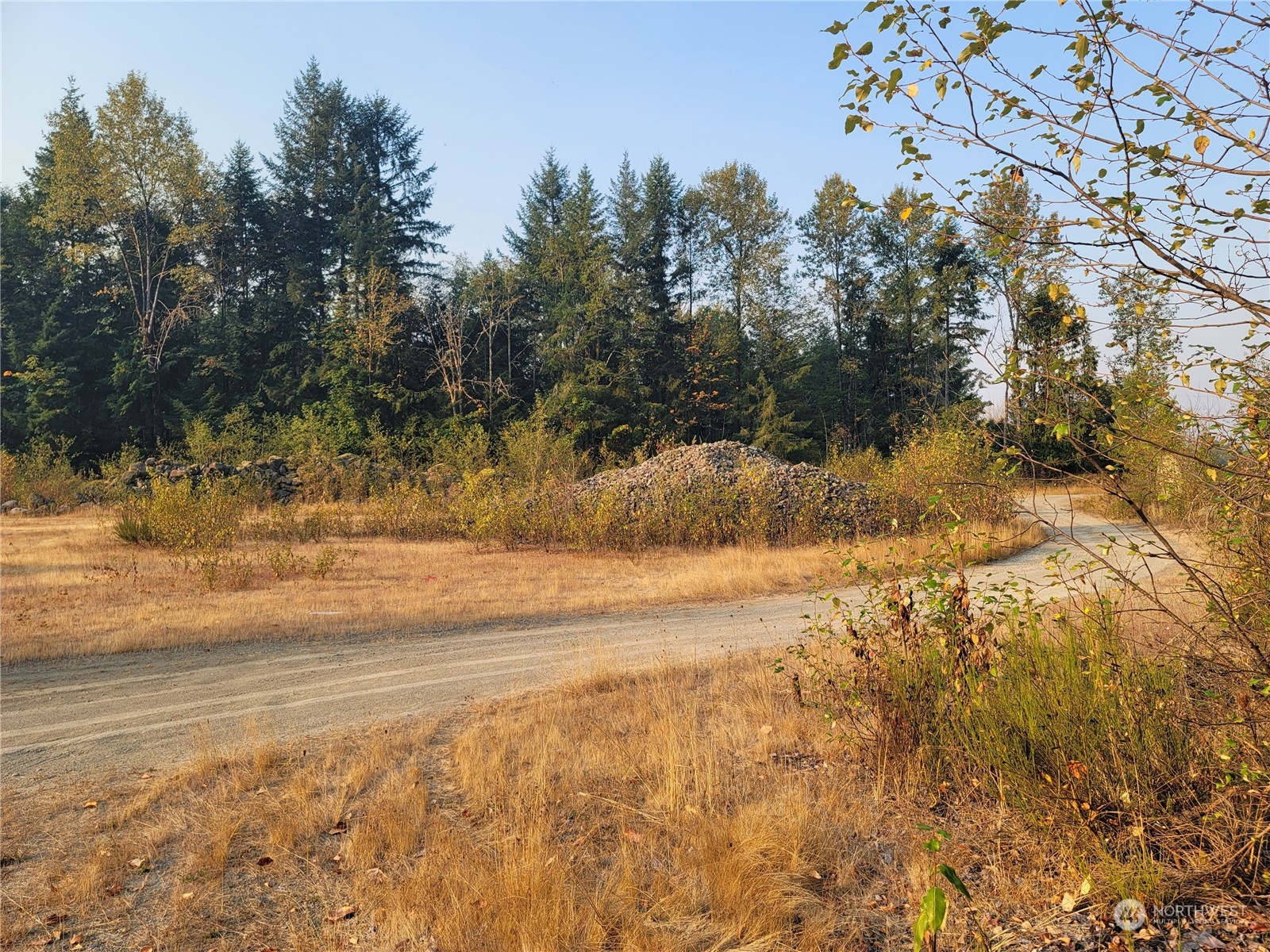 0 Silverbrook Road Randle, WA 98377 - Photo 32 of 36 Gallery Image 32