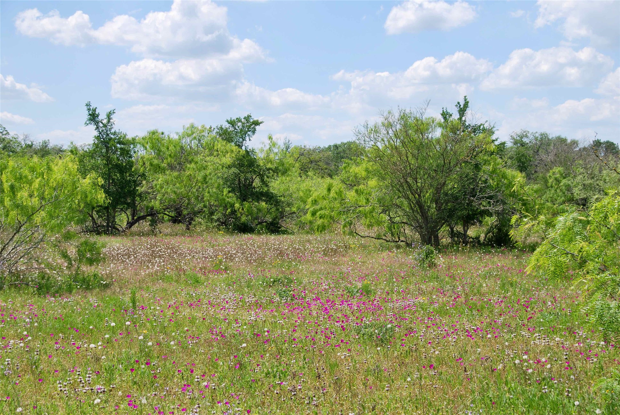 3892 County Road Gonzales, TX 78629 - Photo 1 of 1
