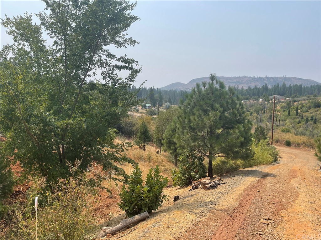 4236 Kakini Road Oroville, CA 95965 - Photo 16 of 36 a view of a yard with wooden fence
