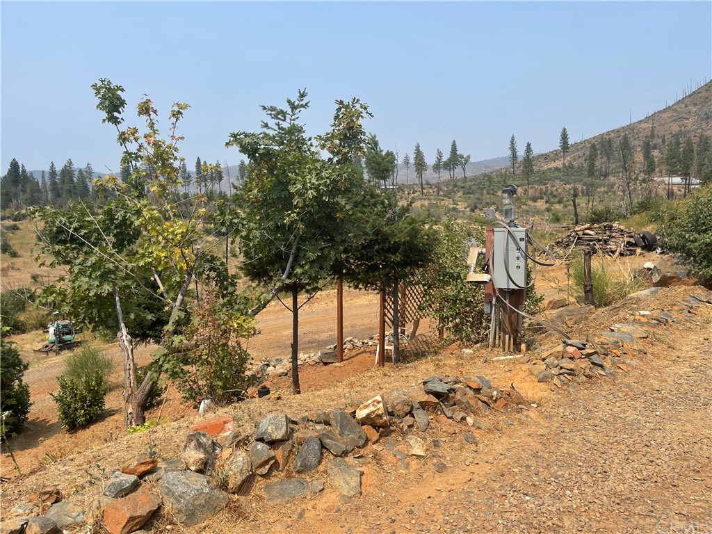 4236 Kakini Road Oroville, CA 95965 - Photo 22 of 36 a view of a yard covered with snow in front of house