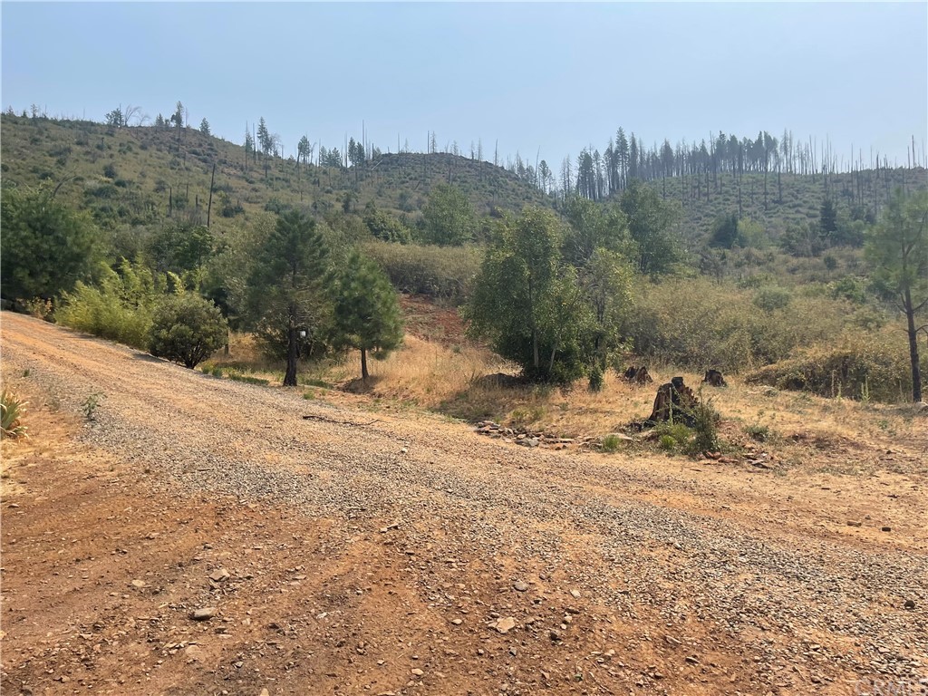 4236 Kakini Road Oroville, CA 95965 - Photo 27 of 36 a view of a dry yard with trees