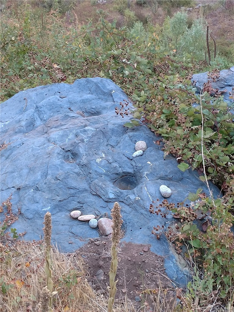4236 Kakini Road Oroville, CA 95965 - Photo 31 of 36 a view of a backyard of the house