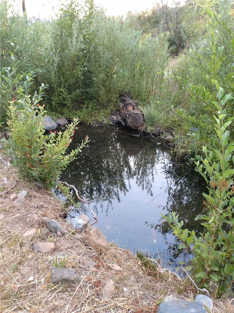 4236 Kakini Road Oroville, CA 95965 - Photo 32 of 36 a view of a forest with a yard