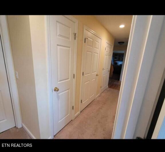 2846 Rhett Butler Drive Louisville, TN 37777 - Photo 14 of 20 13