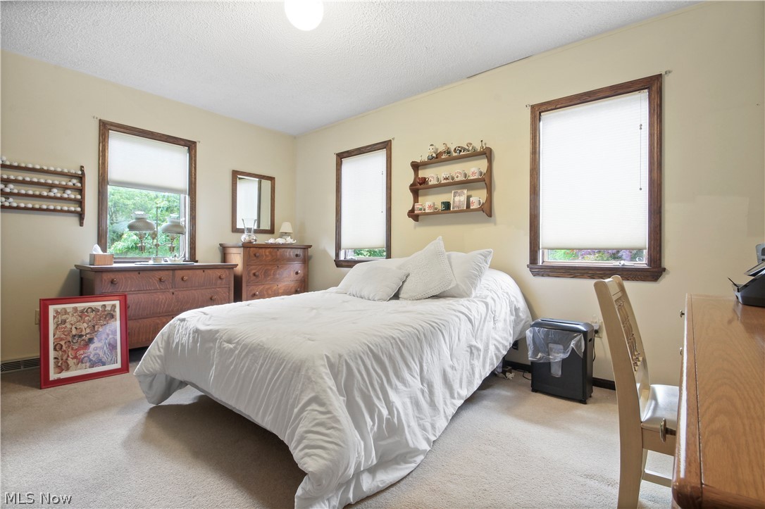 6780 Leffingwell Road Canfield, OH 44406 - Photo 22 of 35 Gallery Image 22