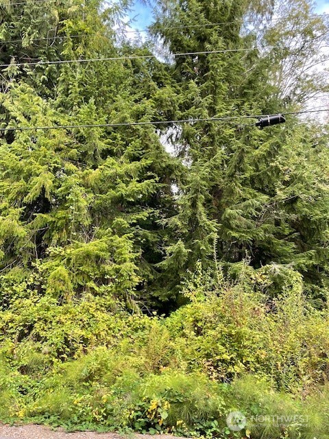 1 Southeast Spring Creek Road Port Orchard, WA 98367 - Photo 1 of 1 Gallery Image 1