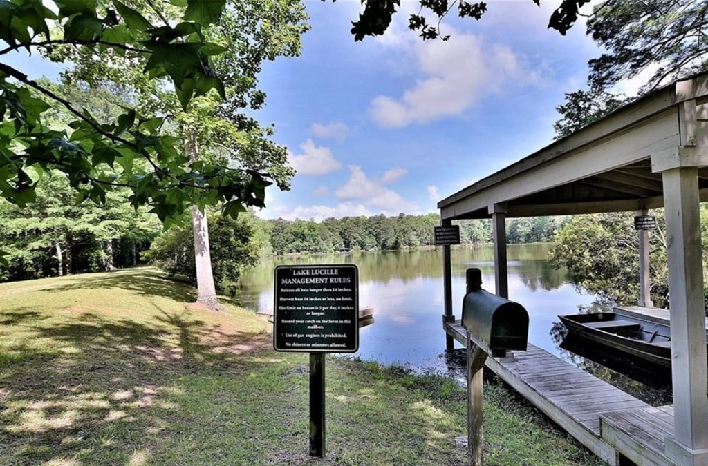 Lot 4 Old Gate Road Midland, GA 31820 - Photo 4 of 13 Gallery Image 4