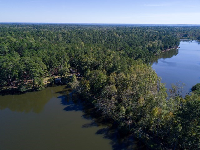 Lot 4 Old Gate Road Midland, GA 31820 - Photo 8 of 13 Gallery Image 8