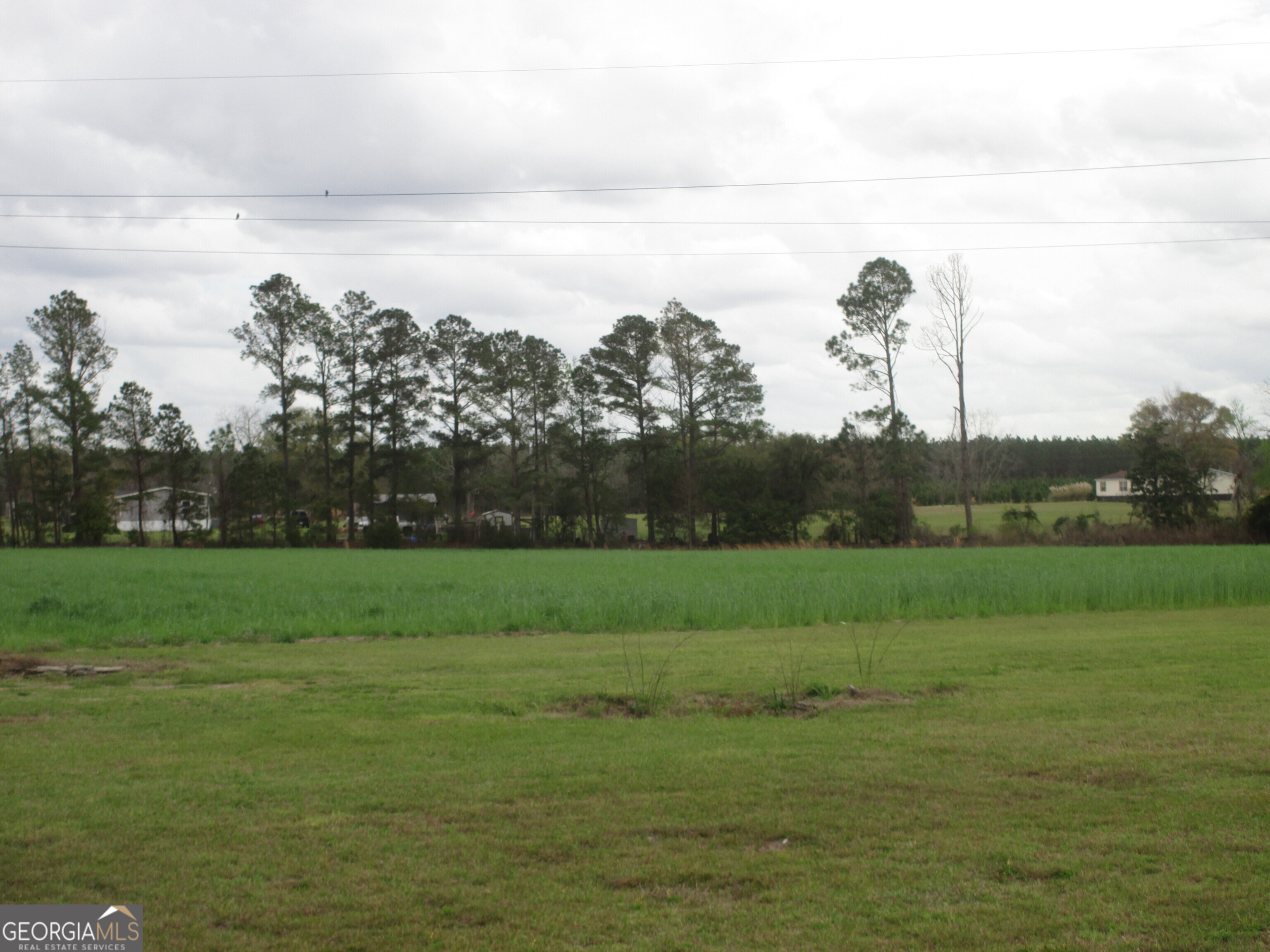84 Comer Yawn Road Hazlehurst, GA 31539 - Photo 10 of 24 Gallery Image 10