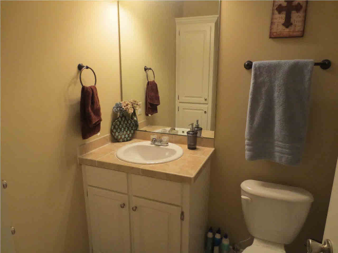 113 Ash Ridge Place Pearl, MS 39208 - Photo 12 of 13 Guest Bath