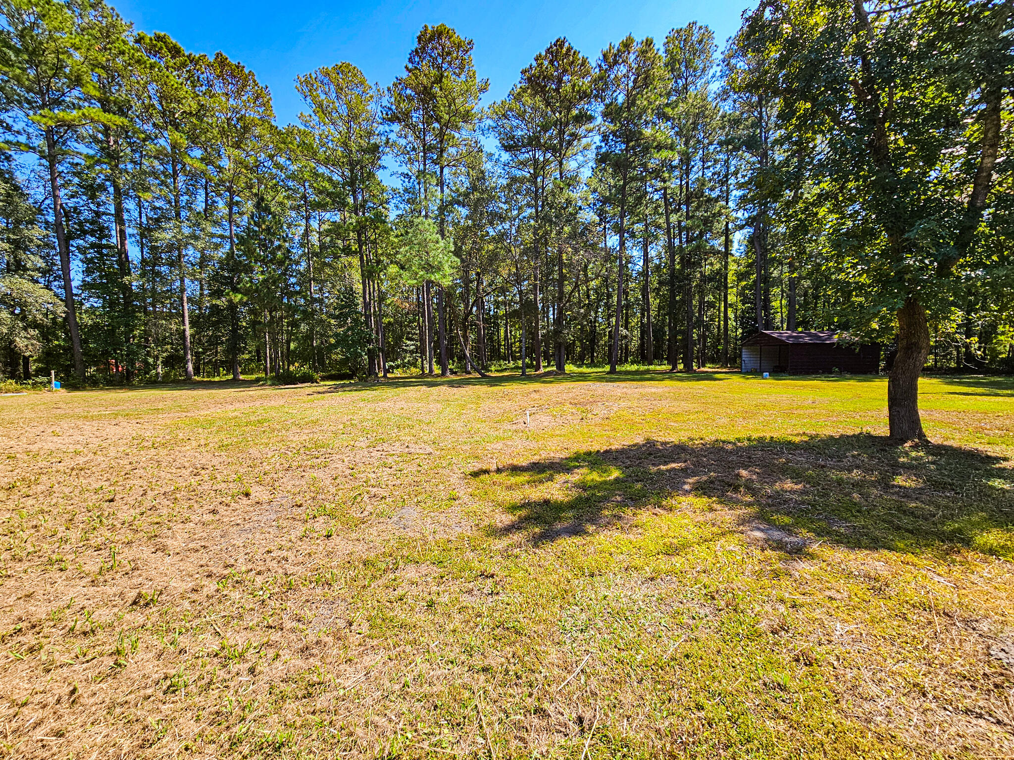 2650 Peirce Road Cottageville, SC 29435 - Photo 6 of 34