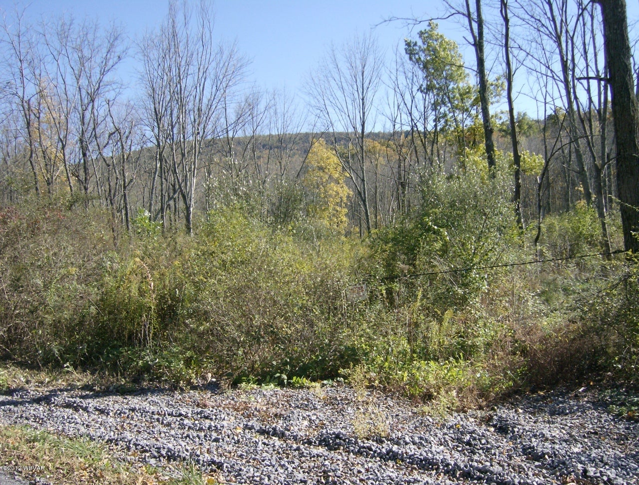 0 East End Mountain Road Mill Hall, PA 17751 - Photo 6 of 8 Land3
