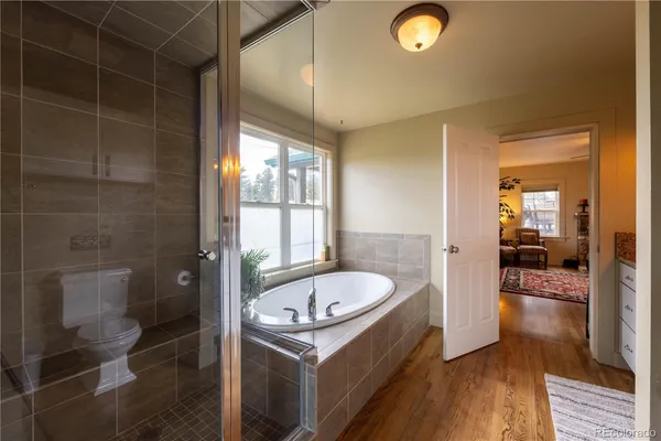 a view of a park with large trees