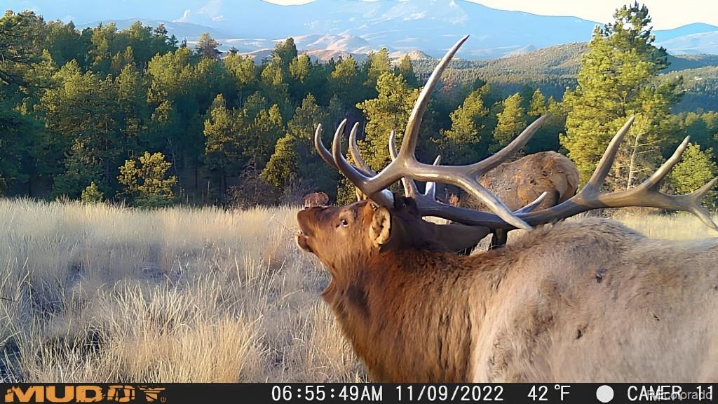 12414 US Highway 285 Conifer, CO 80433 - Photo 45 of 50