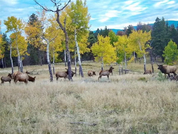 $6,300,000 | 12414 US Highway 285, Conifer, CO 80433