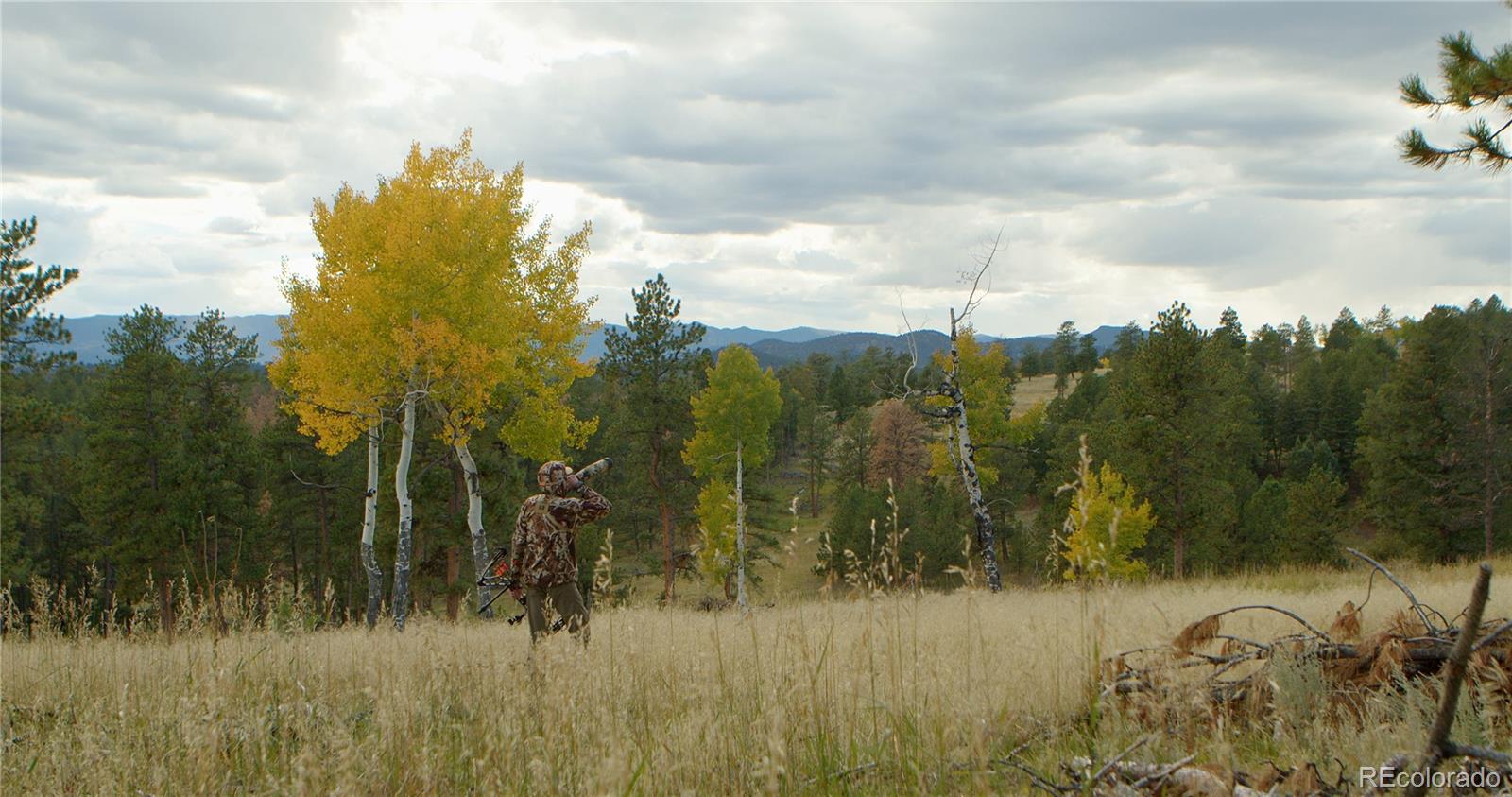 12414 US Highway 285 Conifer, CO 80433 - Photo 8 of 50