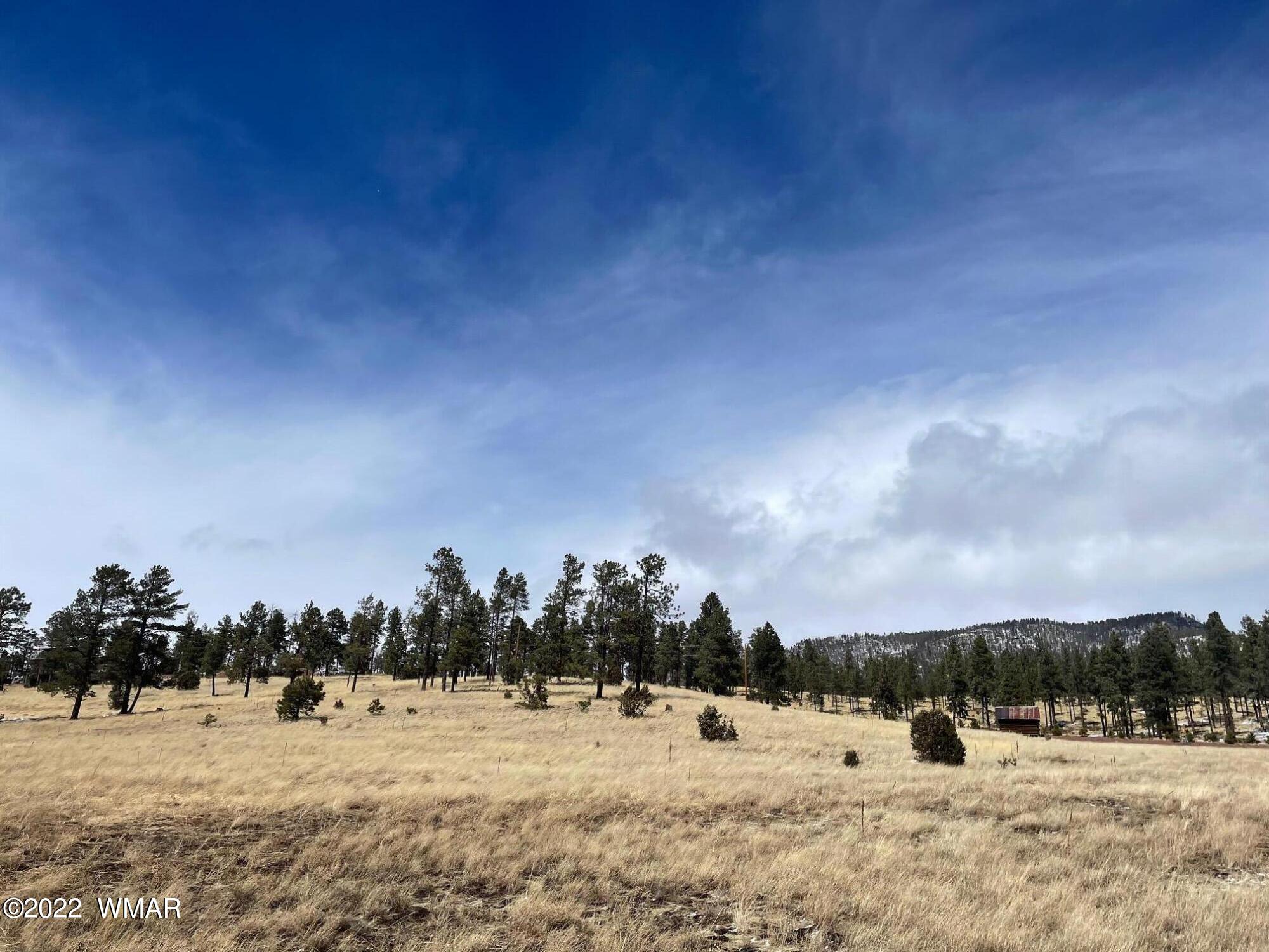 Lot 27 County Road Alpine, AZ 85920 - Photo 1 of 7