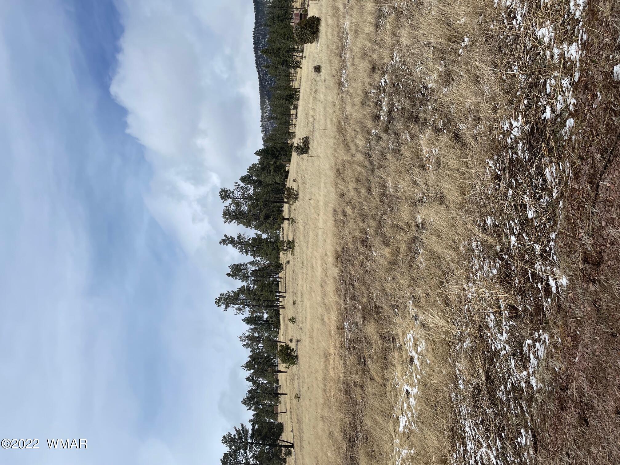 Lot 27 County Road Alpine, AZ 85920 - Photo 2 of 7