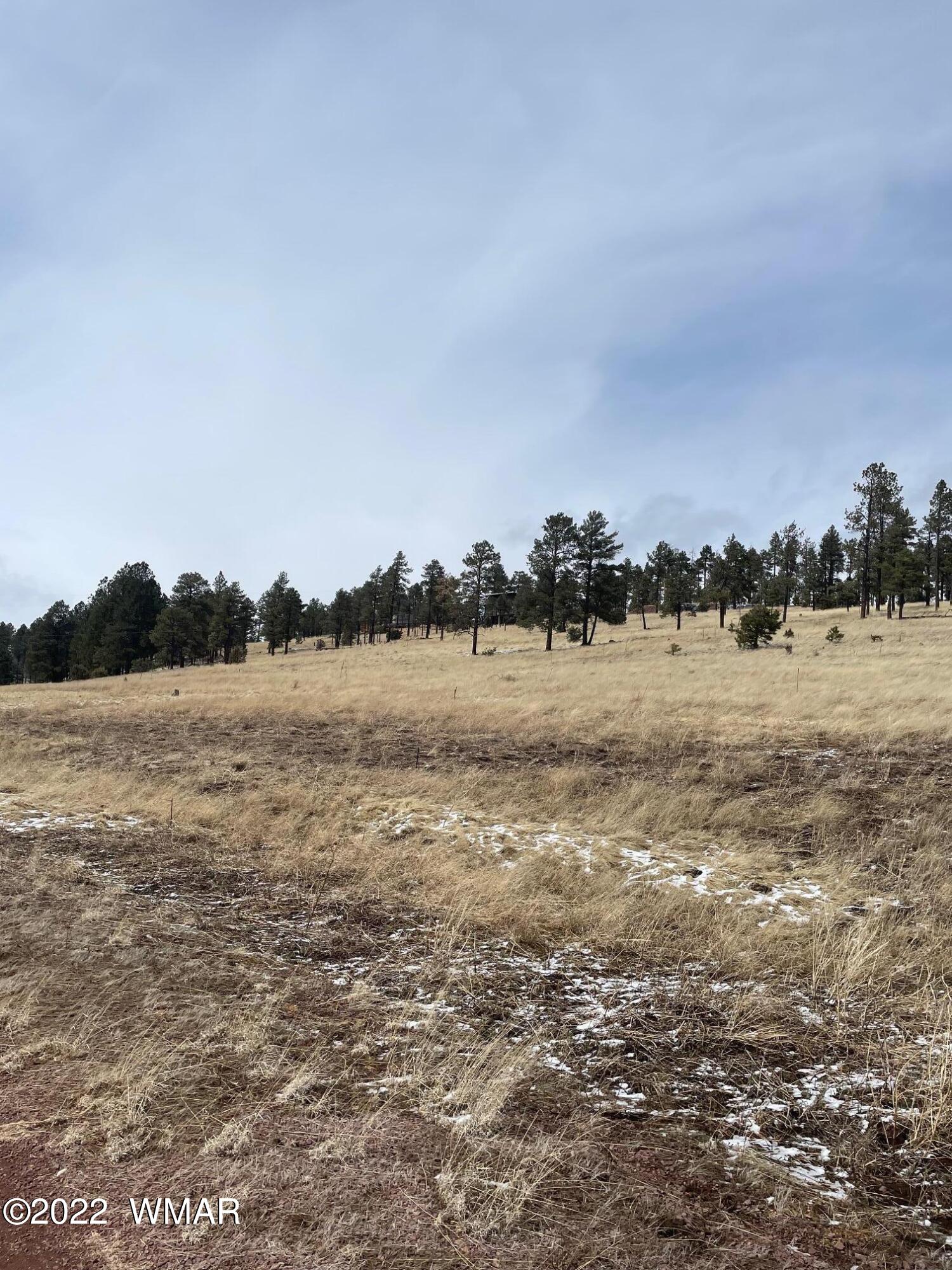 Lot 27 County Road Alpine, AZ 85920 - Photo 3 of 7