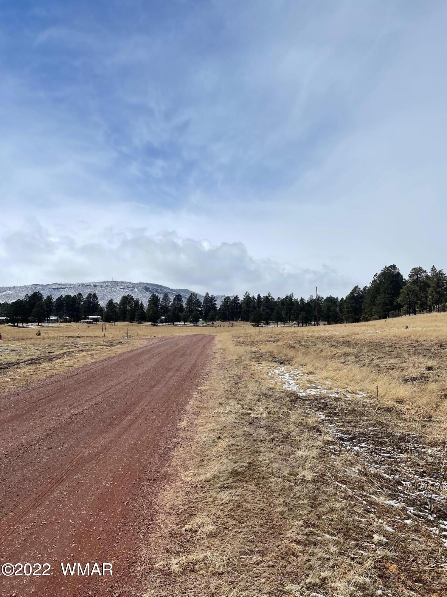 Lot 27 County Road Alpine, AZ 85920 - Photo 4 of 7