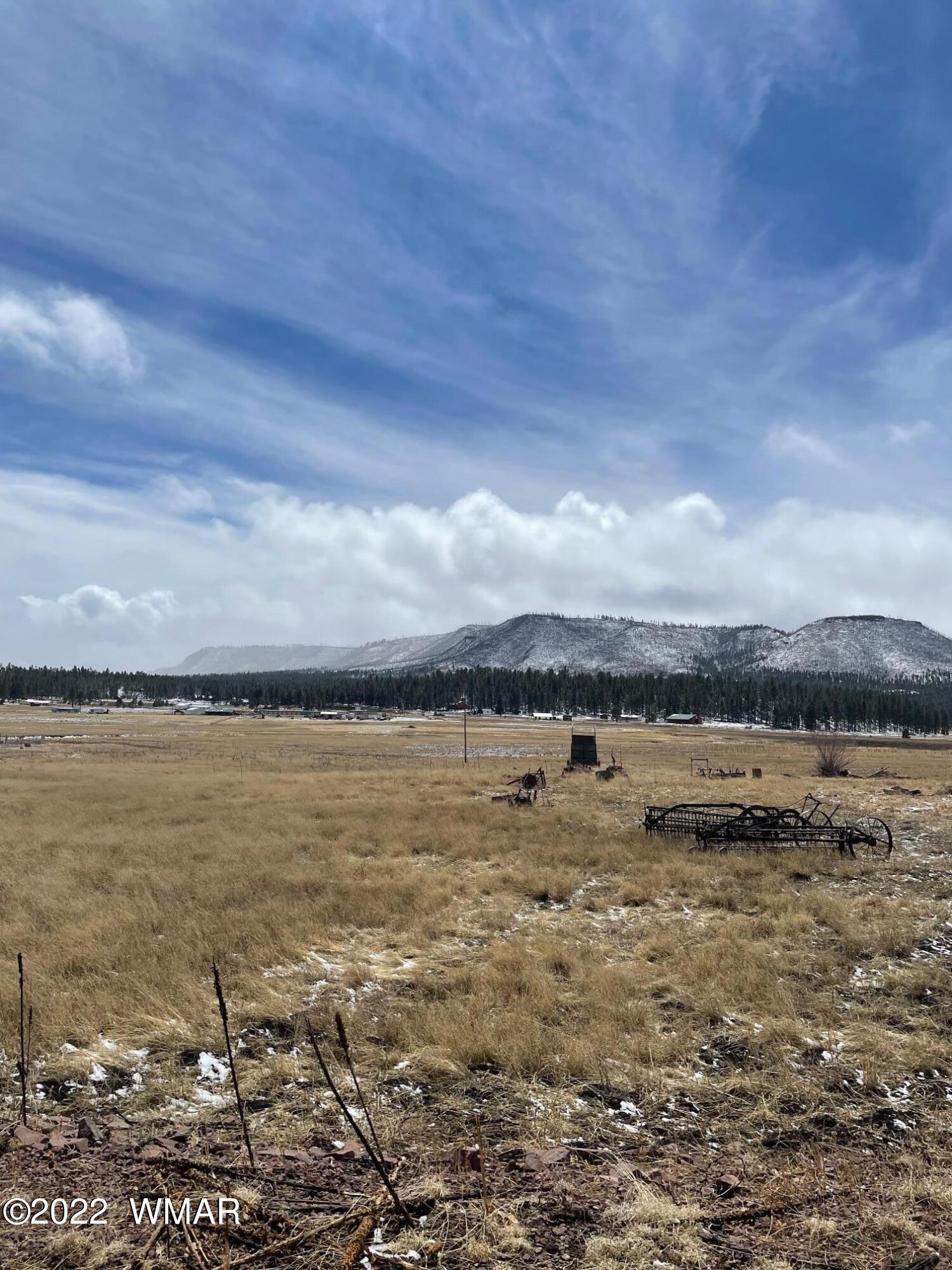 Lot 27 County Road Alpine, AZ 85920 - Photo 5 of 7