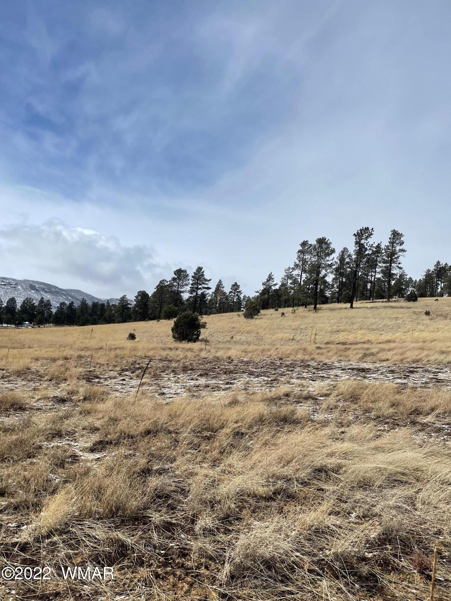 Lot 27 County Road Alpine, AZ 85920 - Photo 6 of 7
