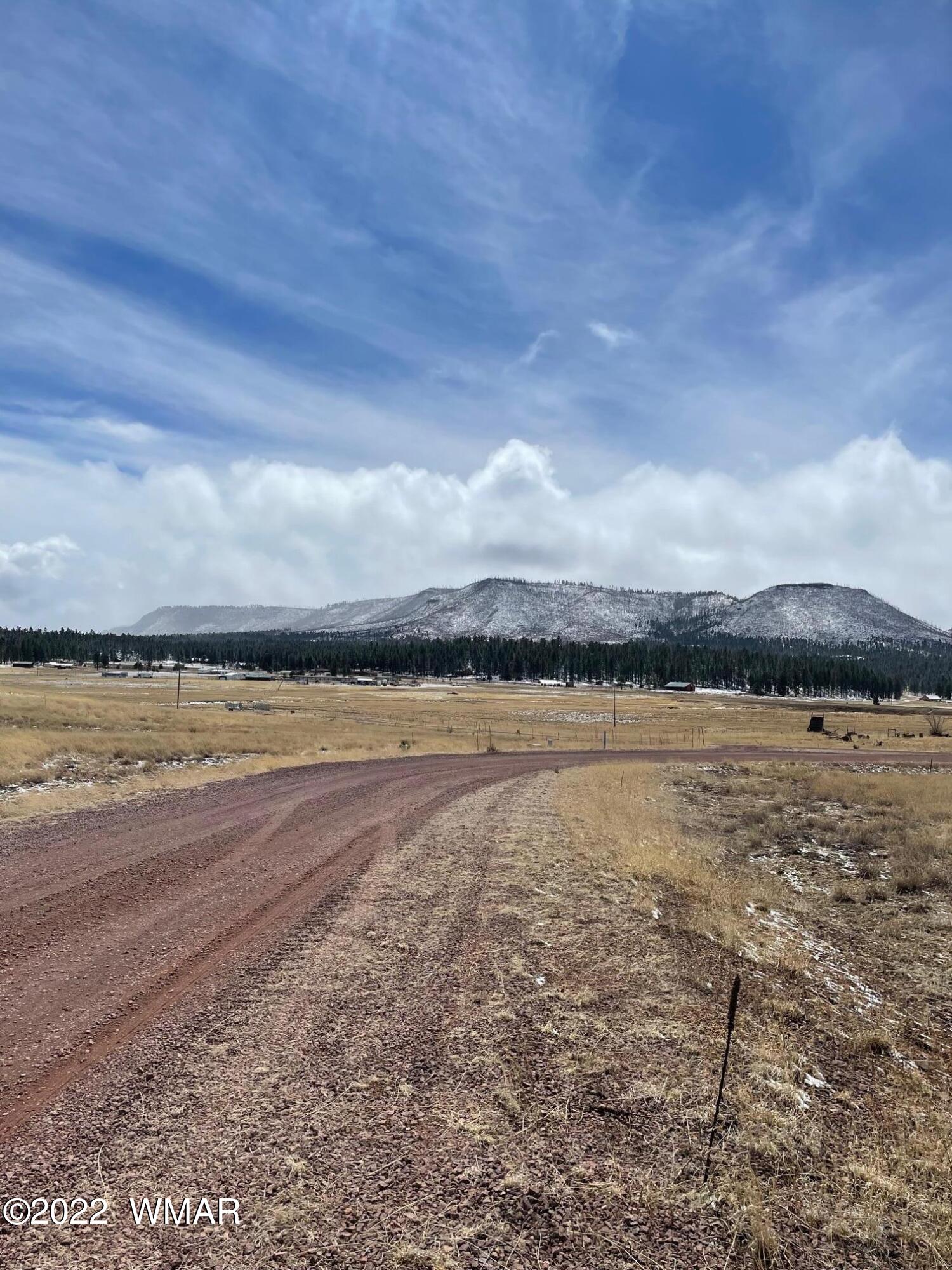 Lot 27 County Road Alpine, AZ 85920 - Photo 7 of 7