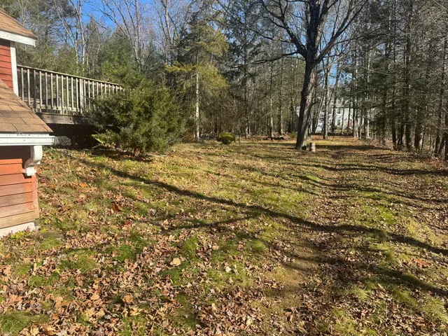 a view of a yard with some trees