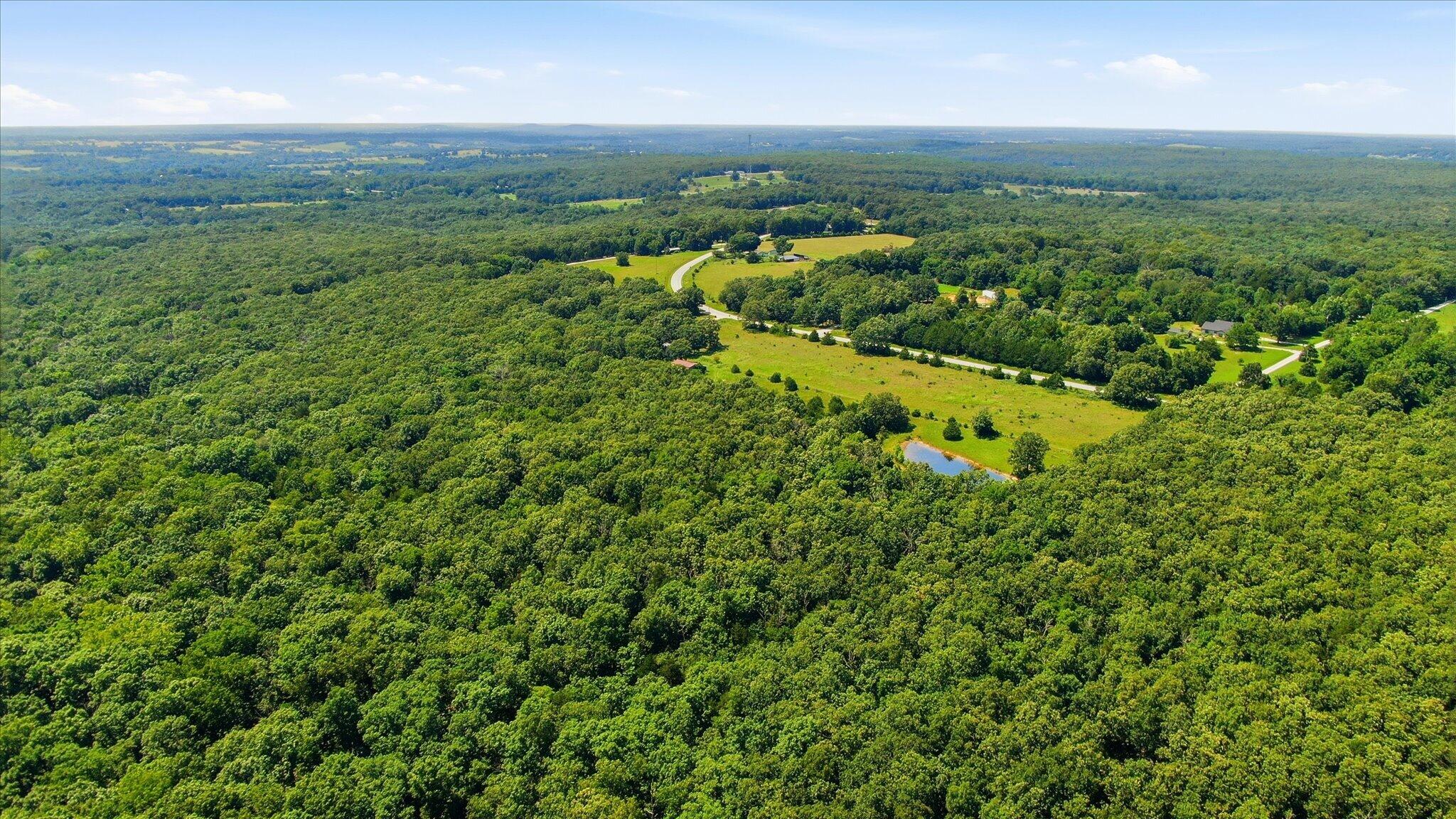 184 State Route East Fair Grove, MO 65648 - Photo 10 of 13 10-DJI_0442