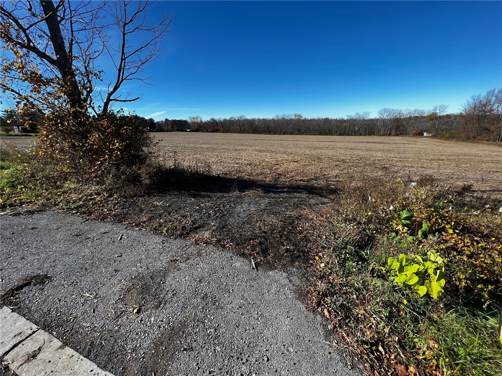 0 Pennemite Road Livonia, NY 14487 - Photo 2 of 18