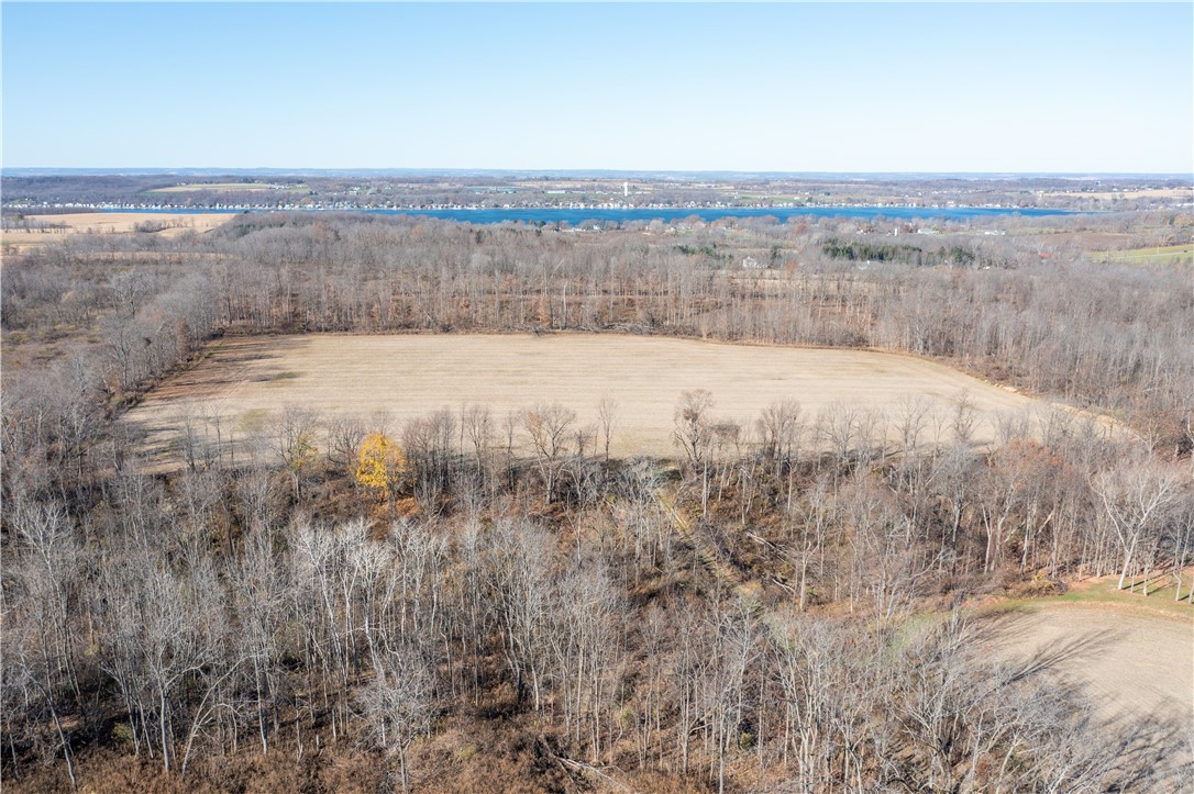 0 Pennemite Road Livonia, NY 14487 - Photo 9 of 18