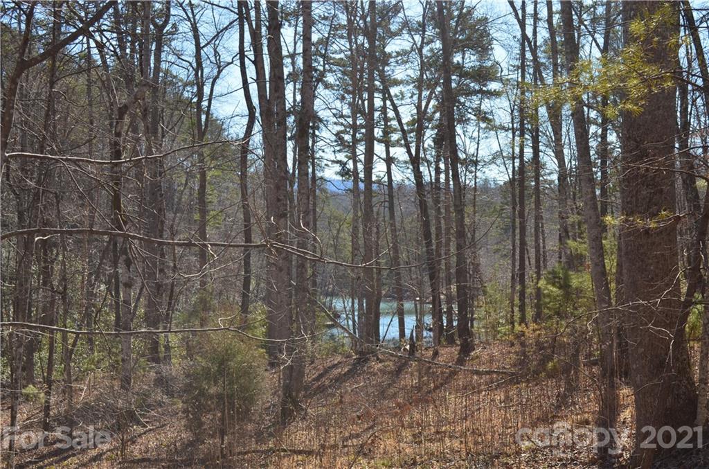 999 Parkway North Rd Mill Spring Mill Spring, NC 28756 - Photo 11 of 33 a view of a yard with a tree
