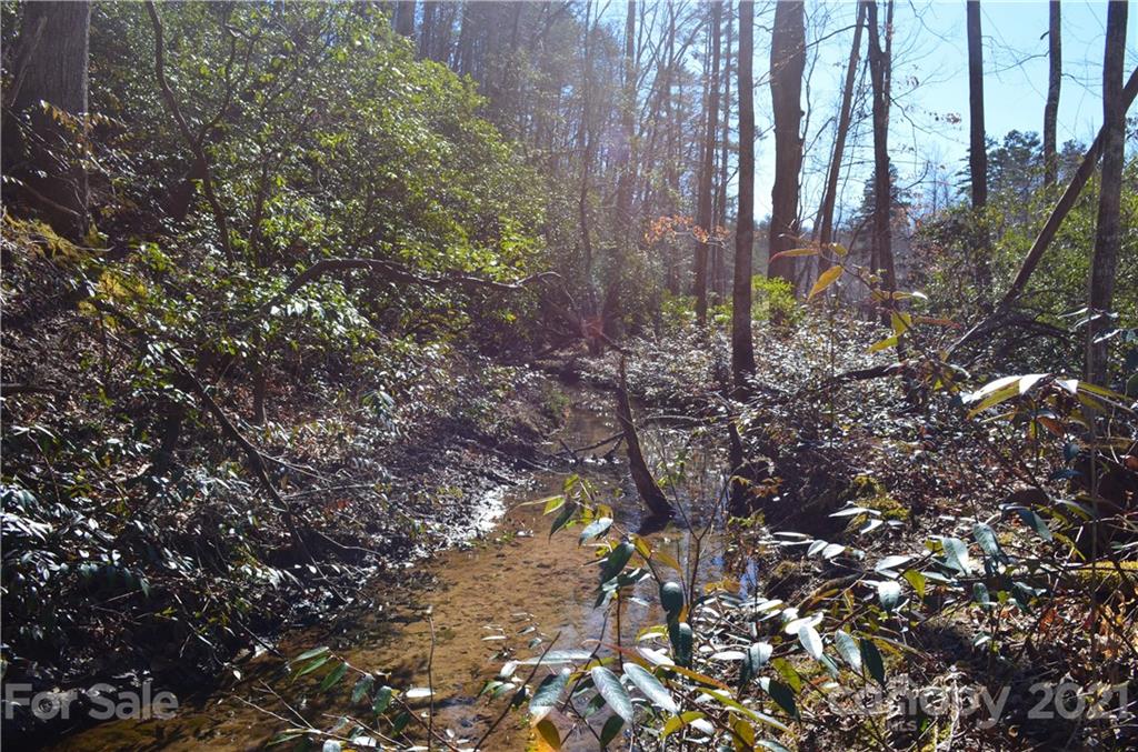 999 Parkway North Rd Mill Spring Mill Spring, NC 28756 - Photo 12 of 33 a backyard of a house