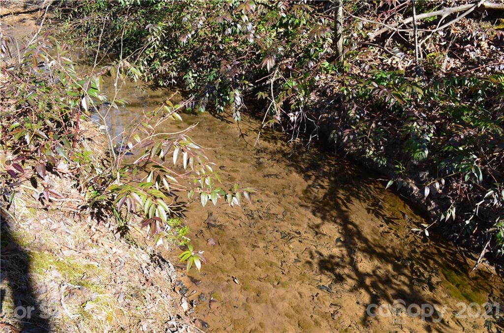 999 Parkway North Rd Mill Spring Mill Spring, NC 28756 - Photo 14 of 33