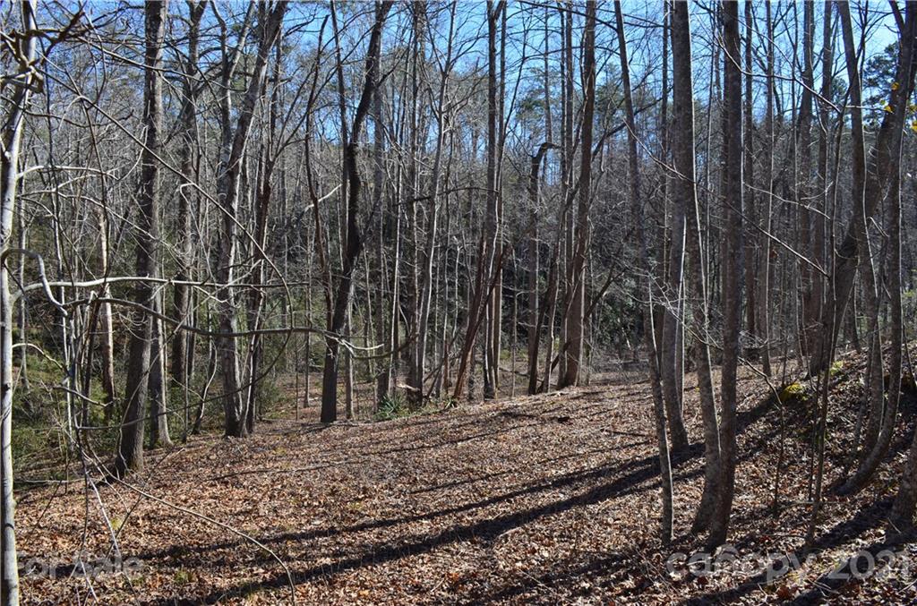 999 Parkway North Rd Mill Spring Mill Spring, NC 28756 - Photo 19 of 33 a view of a backyard