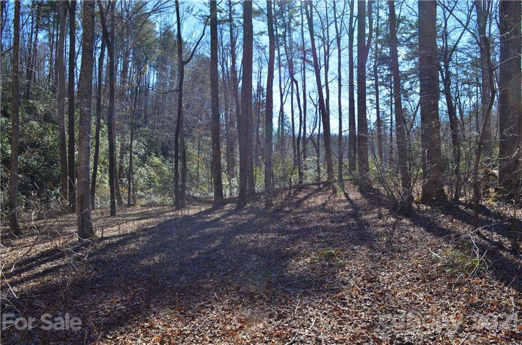 999 Parkway North Rd Mill Spring Mill Spring, NC 28756 - Photo 23 of 33 a view of outdoor space with green space