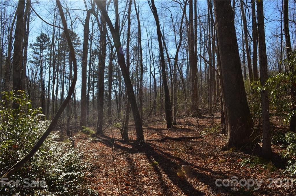 999 Parkway North Rd Mill Spring Mill Spring, NC 28756 - Photo 24 of 33 a view of backyard with green space
