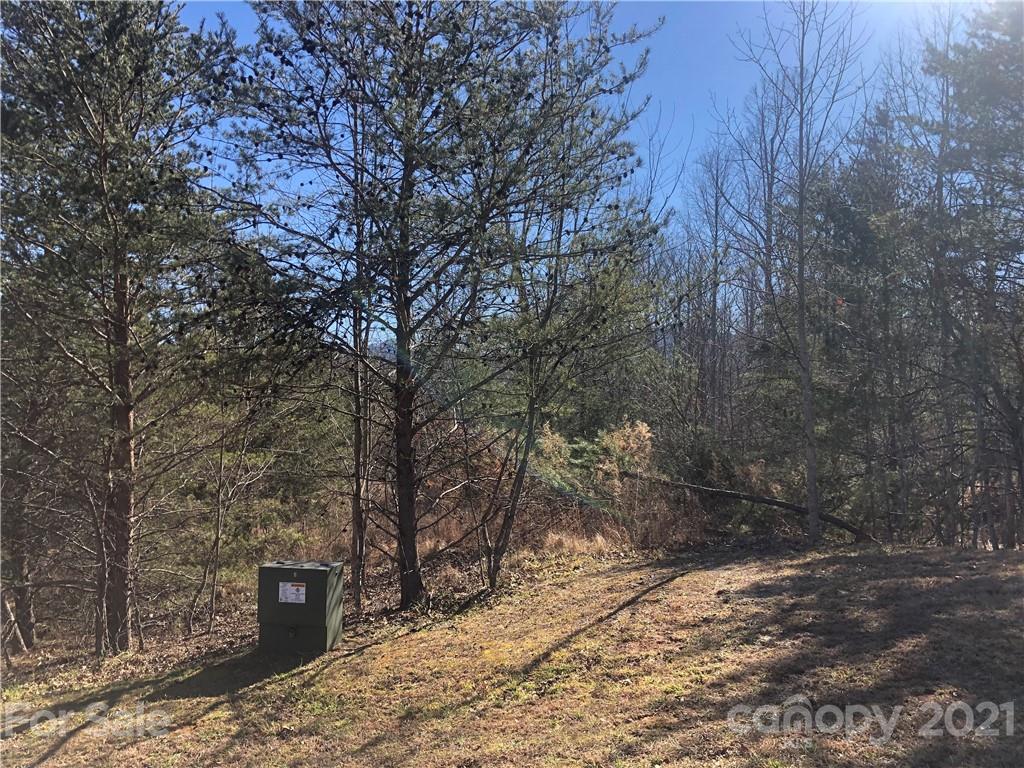 999 Parkway North Rd Mill Spring Mill Spring, NC 28756 - Photo 26 of 33 a view of outdoor space and yard