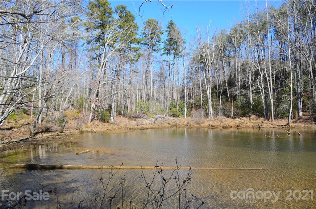 999 Parkway North Rd Mill Spring Mill Spring, NC 28756 - Photo 9 of 33 a view of lake view