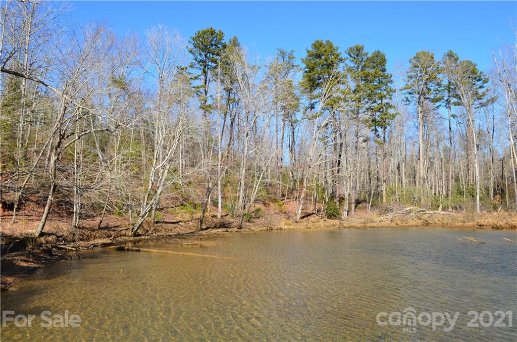 999 Parkway North Rd Mill Spring Mill Spring, NC 28756 - Photo 10 of 33 a view of a water with palm trees