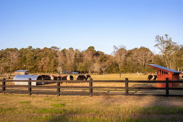 $1,394,900 | 8035 Jack Island Drive, Johns Island, SC 29455