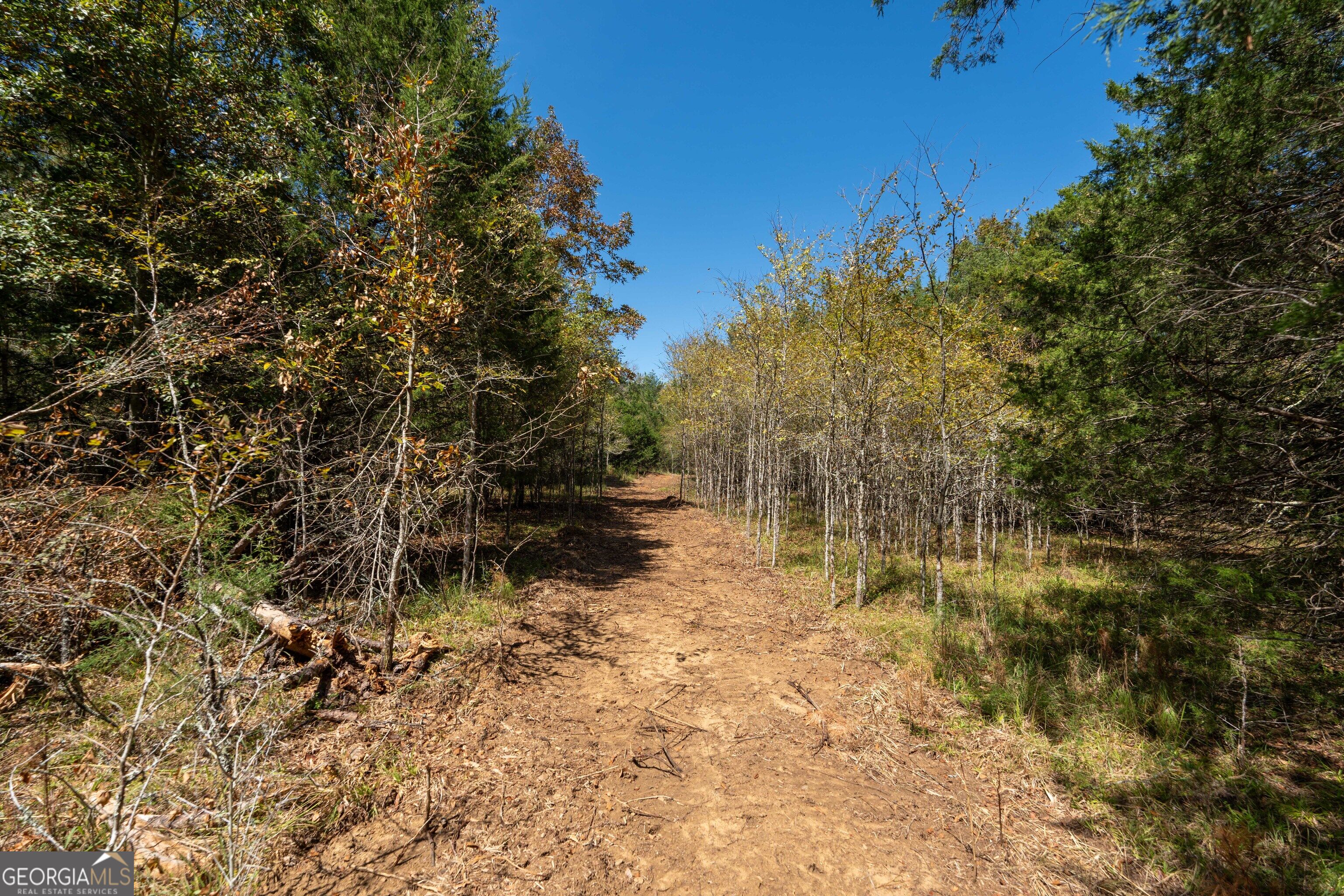 1419 Bobby Brown State Park Road Elberton, GA 30635 - Photo 88 of 90 Gallery Image 88