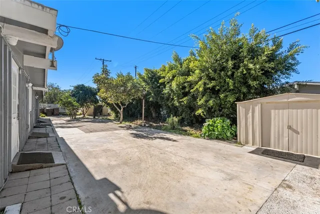a view of a yard with plants and trees