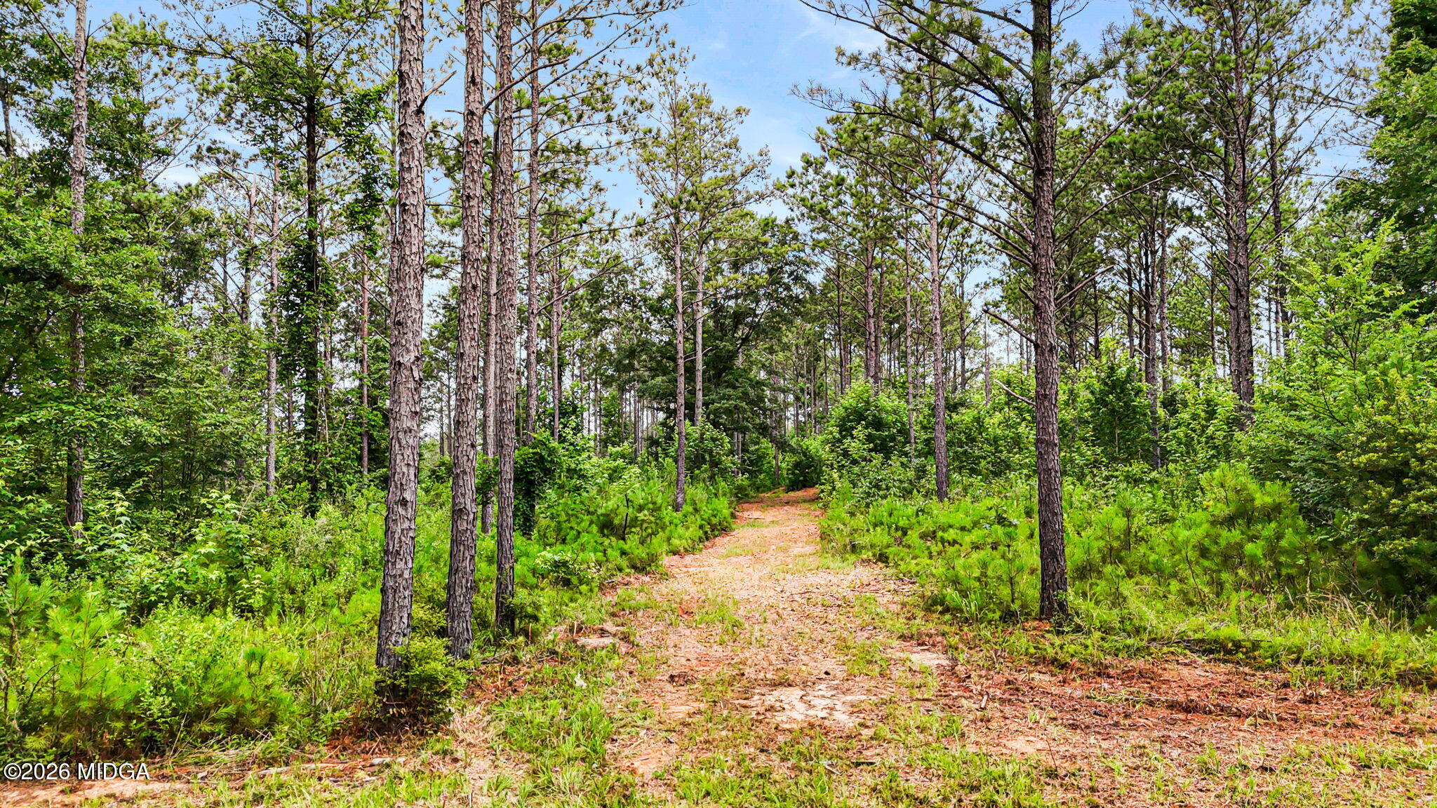 0 Howard Road Roberta, GA 31078 - Photo 10 of 14 a pathway of a yard