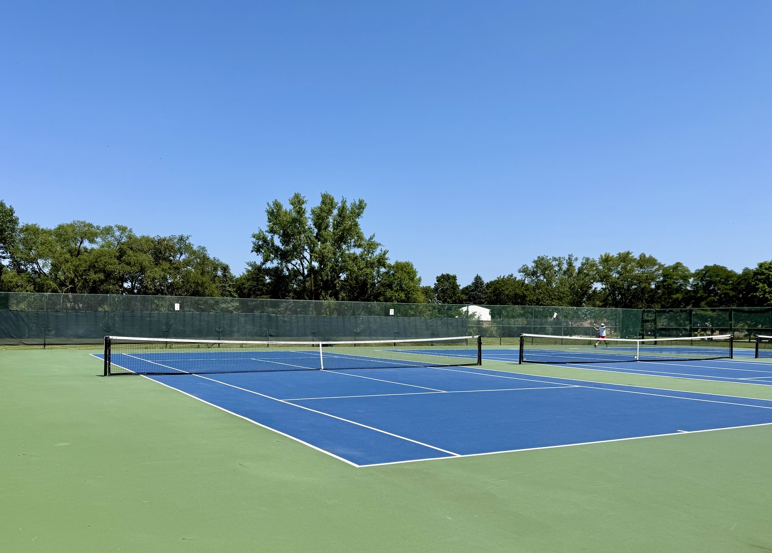 3509 Lawson Road Glenview, IL 60026 - Photo 48 of 54 a tennis court with trees in the background