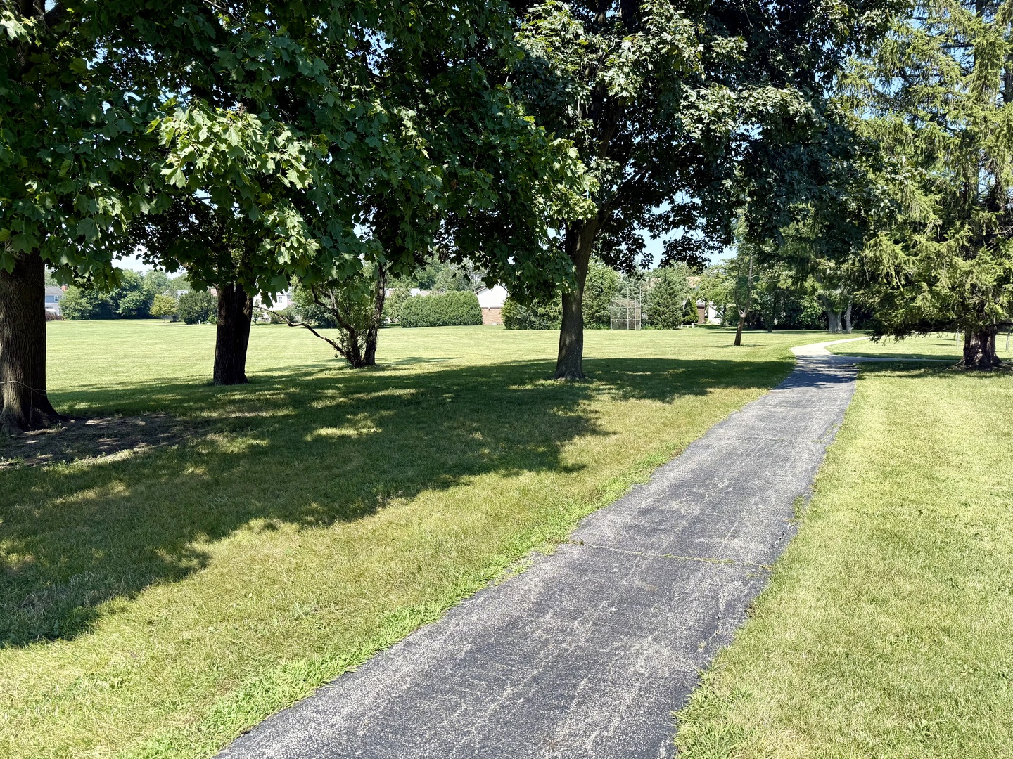 3509 Lawson Road Glenview, IL 60026 - Photo 49 of 54 a view of a yard with large trees