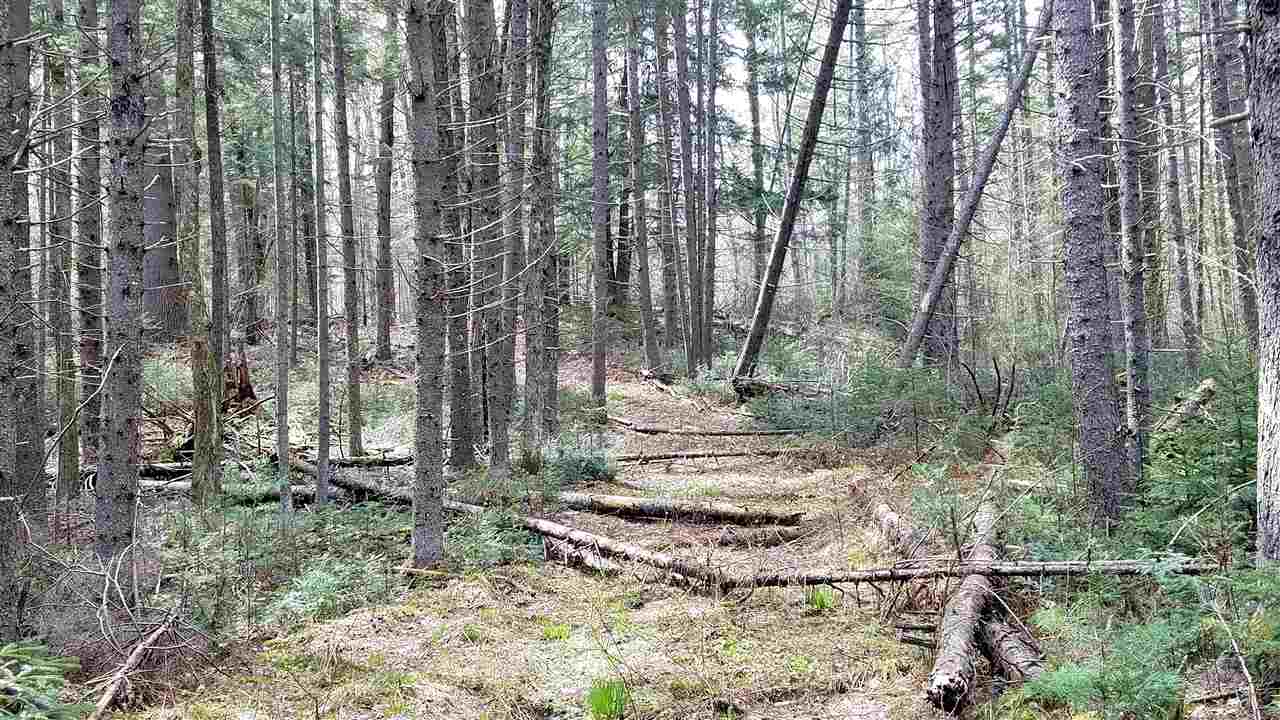488 Kennedy Road Granville, VT 05747 - Photo 31 of 40