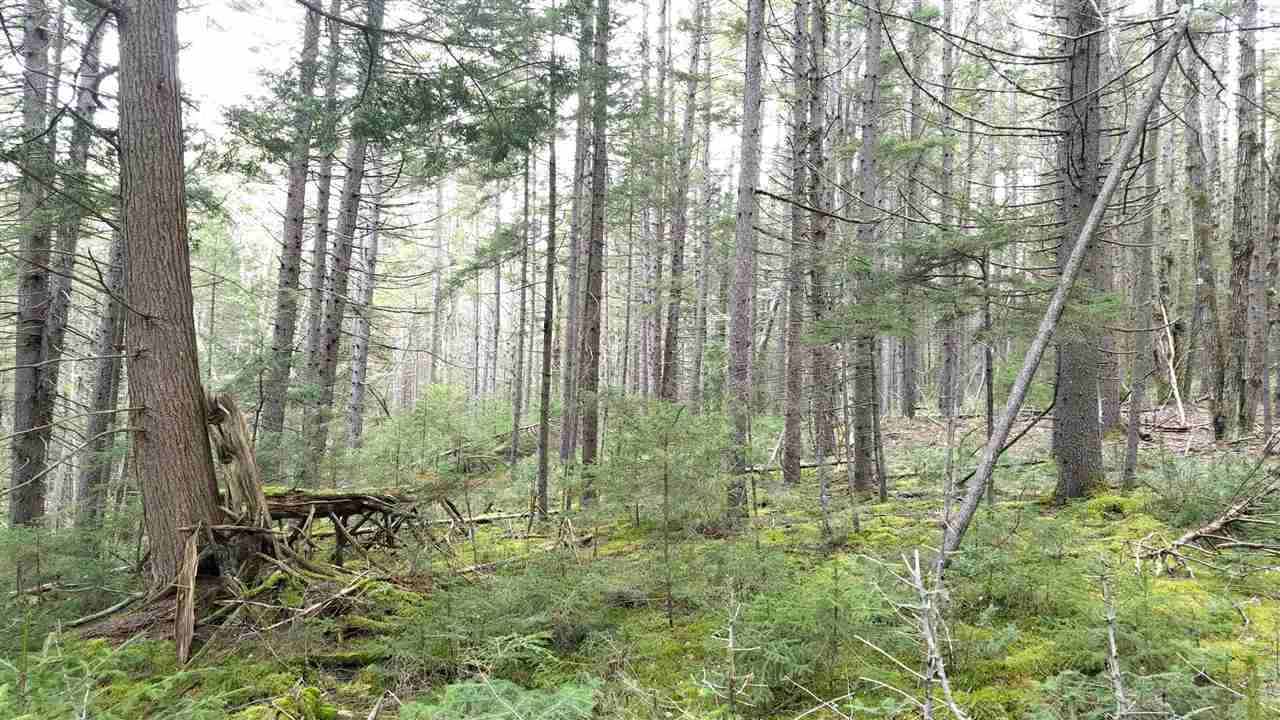 488 Kennedy Road Granville, VT 05747 - Photo 34 of 40