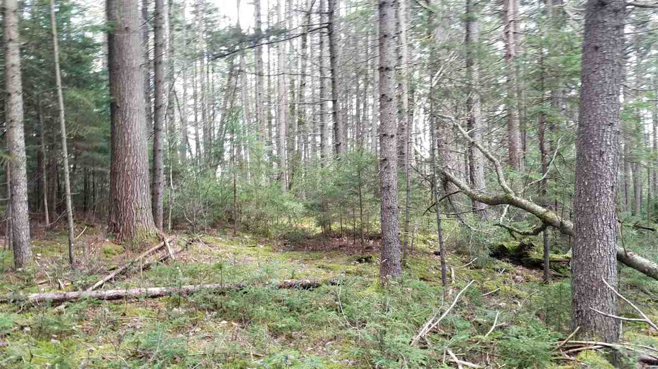 488 Kennedy Road Granville, VT 05747 - Photo 35 of 40