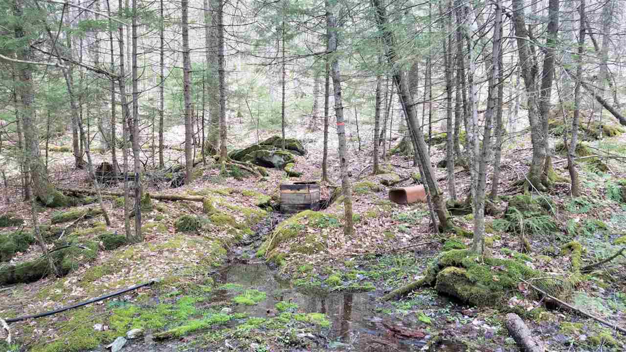 488 Kennedy Road Granville, VT 05747 - Photo 36 of 40